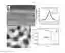 Fig. 06 - Process for preparing an epitaxial alpha-quartz layer on a solid support, material obtained and uses thereof