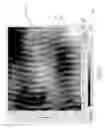 Fig. 08 - Sanitary tissue products