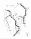 Fig. 02 - Dual-unit paving system