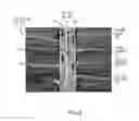 Fig. 08 - Wellbore modeling