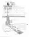 Fig. 02 - Apparatus and method for pulse testing a formation