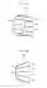 Fig. 07 - Uniflow-scavenging-type two-cycle engine