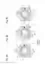 Fig. 07 - Variable compression ratio device for internal combustion engine
