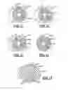 Fig. 04 - Layered diaphragm
