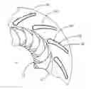Fig. 01 - RETRACTABLE VANE DIFFUSER FOR COMPRESSORS