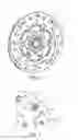 Fig. 03 - CENTRIFUGAL-FORCE PENDULUM