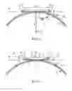 Fig. 05 - Anchoring device with spacer for hooping reinforcements