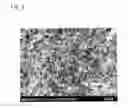Fig. 04 - THERMAL INSULATOR AND METHOD FOR PRODUCING SAME