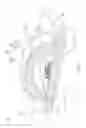 Fig. 04 - Light Emitting Module and Optical Lens Thereof