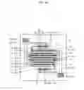Fig. 06 - Light emitting device, illumination apparatus including the same, and mounting substrate