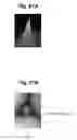 Fig. 68 - Wall, system of highly clean rooms, production method thereof and construction