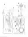 Fig. 09 - Magnetic field sensor and related techniques that inject an error correction signal into a signal channel to result in reduced error