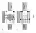Fig. 02 - HYDROGEL PARTICLES WITH TUNABLE OPTICAL PROPERTIES
