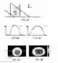 Fig. 03 - Distribution of refractive index measurement by synthetic aperture tomography