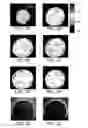 Fig. 05 - Distribution of refractive index measurement by synthetic aperture tomography