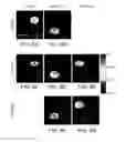 Fig. 09 - Distribution of refractive index measurement by synthetic aperture tomography