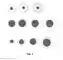 Fig. 02 - Thermoluminescent composite particle and marking comprising same