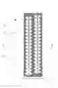 Fig. 02 - HIGH RESOLUTION EDDY CURRENT ARRAY PROBE