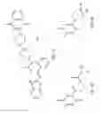 Fig. 06 - Chemical probe compounds that become fluorescent upon reduction, and methods for their use