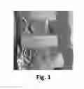 Fig. 02 - Methods for detecting sulfur
