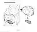 Fig. 02 - System and methods for identifying cancer cell lines having anti-growth activity against other cancer cell lines