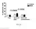 Fig. 23 - Disease-on-a-chip