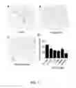 Fig. 02 - Methods and compounds for diagnosing threonyl-tRNA synthetase-associated diseases and conditions
