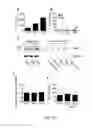 Fig. 11 - Methods and compounds for diagnosing threonyl-tRNA synthetase-associated diseases and conditions