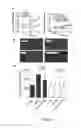 Fig. 12 - Methods and compounds for diagnosing threonyl-tRNA synthetase-associated diseases and conditions