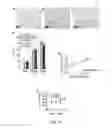 Fig. 19 - Methods and compounds for diagnosing threonyl-tRNA synthetase-associated diseases and conditions