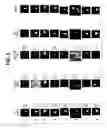 Fig. 04 - CIRCULATING TUMOR CELL ASSAY