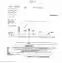 Fig. 06 - TUMOR SUPPRESSOR DESIGNATED TS10Q23.3