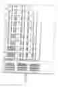 Fig. 24 - TUMOR SUPPRESSOR DESIGNATED TS10Q23.3
