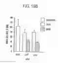 Fig. 43 - TUMOR SUPPRESSOR DESIGNATED TS10Q23.3