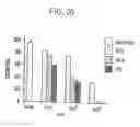 Fig. 44 - TUMOR SUPPRESSOR DESIGNATED TS10Q23.3