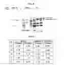 Fig. 06 - Monoclonal antibody against D-dimer and methods of use therefor