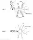 Fig. 02 - OPTO TEXTILE