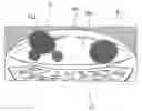 Fig. 01 - Camera device, three-dimensional object detection device, and lens cleaning method