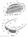 Fig. 02 - Collapsible eyeglass apparatus