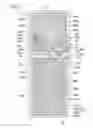 Fig. 08 - LIQUID CRYSTAL DISPLAY