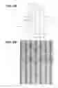 Fig. 06 - Liquid crystal display element