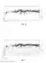 Fig. 07 - Toner