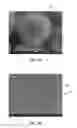 Fig. 09 - Toner