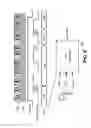 Fig. 07 - Adaptive voltage scaling mechanism based on voltage shoot measurement