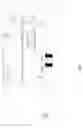 Fig. 05 - Configurable power supplies for dynamic current sharing