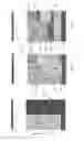 Fig. 07 - METHOD OF CONTROLLING A GRAPHICAL USER INTERFACE FOR A MOBILE ELECTRONIC DEVICE