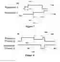 Fig. 08 - Hardware accelerator test harness generation