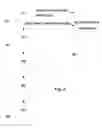 Fig. 03 - PAGE MATCHING FOR RECONSTRUCTED APPLICATION PAGES