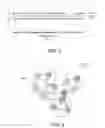 Fig. 06 - ITERATIVE CLUSTERING OF SEQUENCE READS FOR ERROR CORRECTION