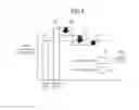 Fig. 08 - APPARATUS AND METHOD FOR PATENT PORTFOLIO MANAGEMENT
